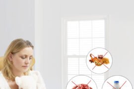 "A plate of nutrient-rich foods, including leafy greens, salmon, and whole grains, recommended for recovery after a miscarriage."