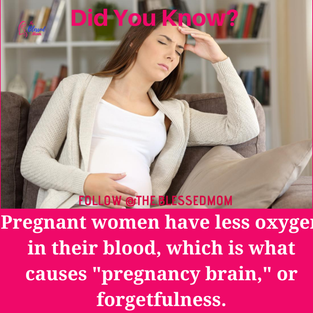pregnancy facts