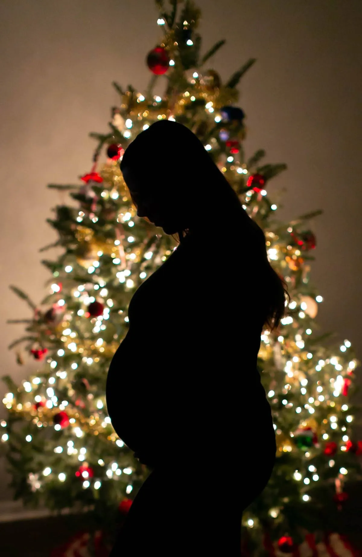 Baby Bump Silhouette by the Tree